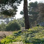 Villa Des Cathares *