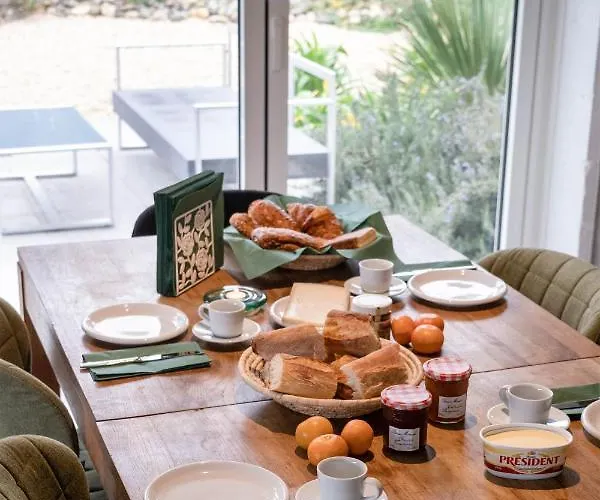 Des Cathares Villa Carcassonne