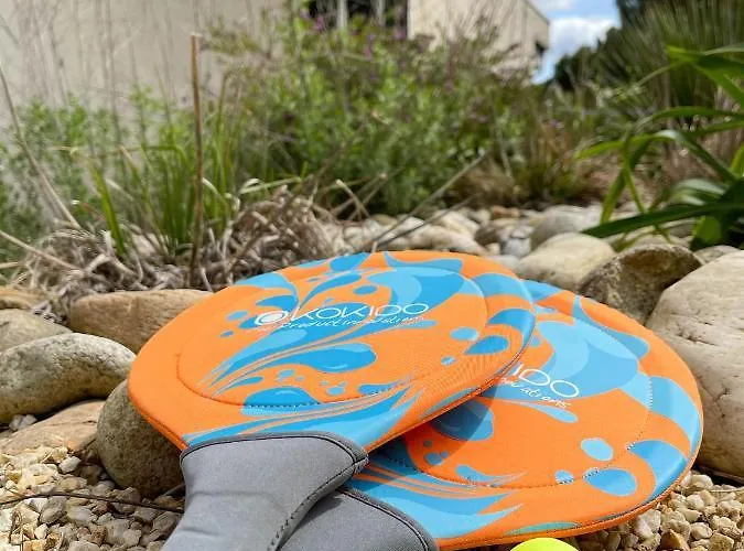 Des Cathares * Carcassonne