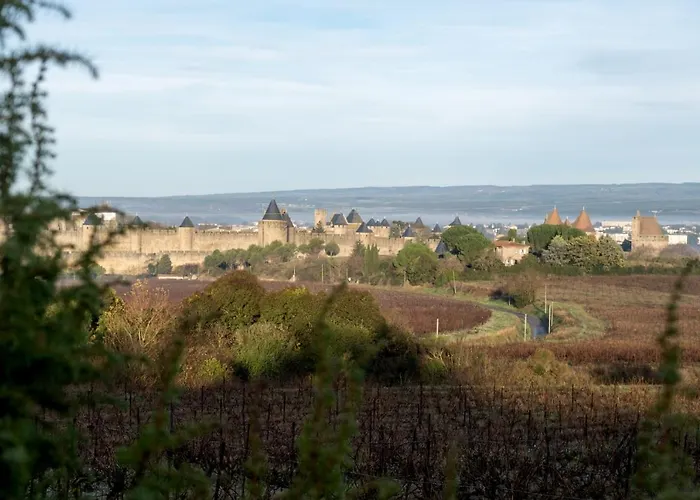 Villa Des Cathares Carcassone
