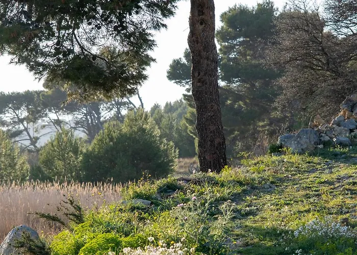 Villa Des Cathares *